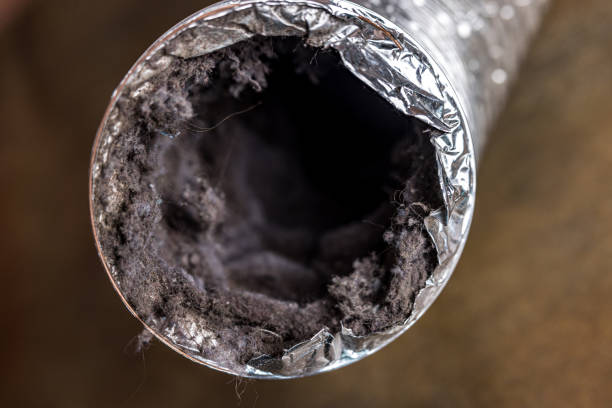 Best Air Duct Cleaning Near Me  in Sarand, AL